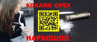 сатива Будённовск